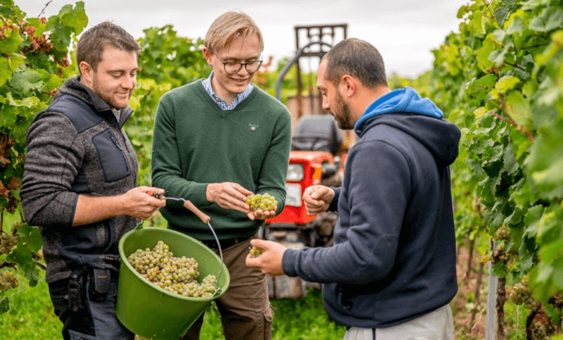 J Trautwein Vigneron