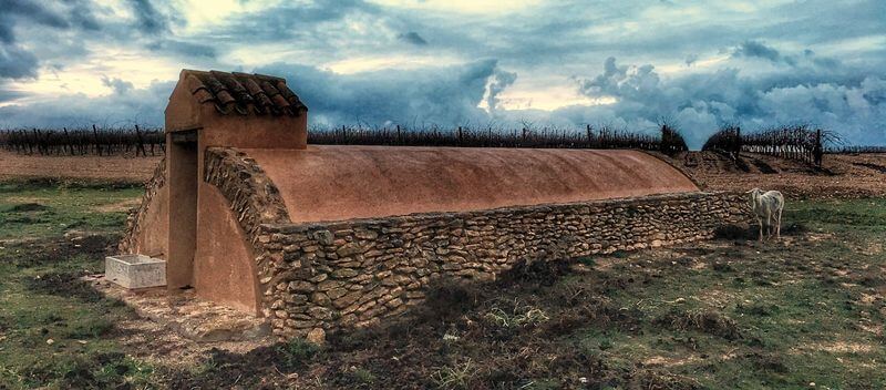 BiodiverserWeinanbau