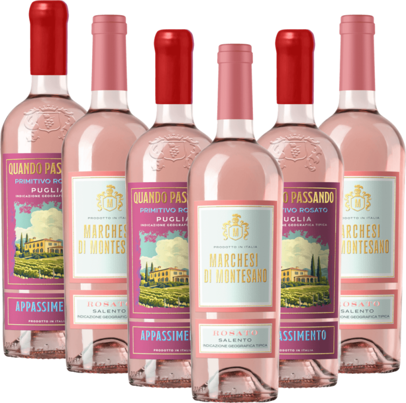 Trésors du Primitivo des Pouilles - Pack de dégustation de 6 bouteilles