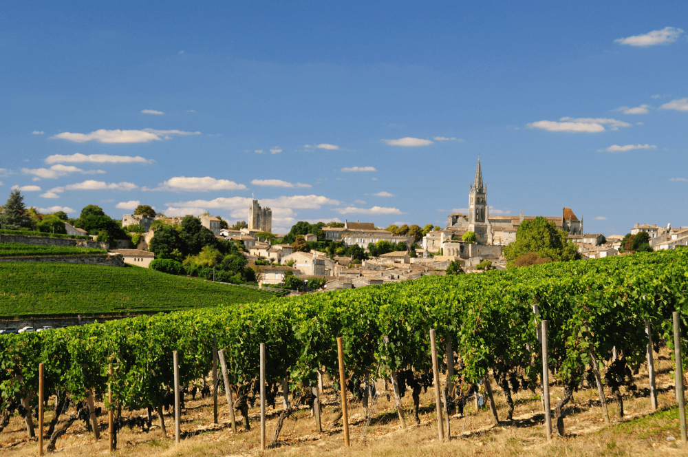 Vignobles Saint Emilion Vignobles Saint Emilion