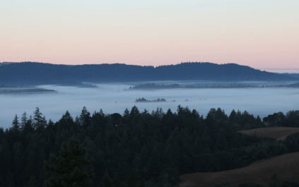 Brouillard au-dessus de la vallée d'Anderson