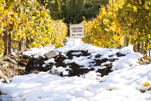 La situation des Adrianna Vineyards La situation des Adrianna Vineyards