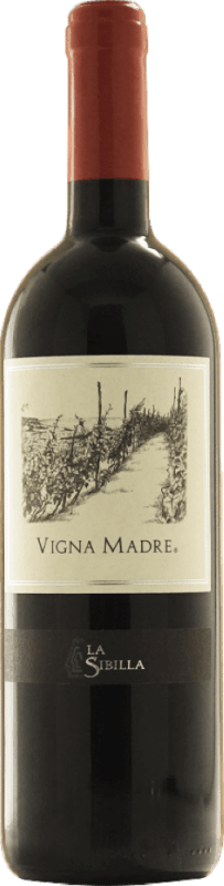 Vigna Madre Piedirosso Campi Flegrei - La Sibilla