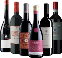 Favoris de vins rouges d'Italie - coffret de dégustation 6x