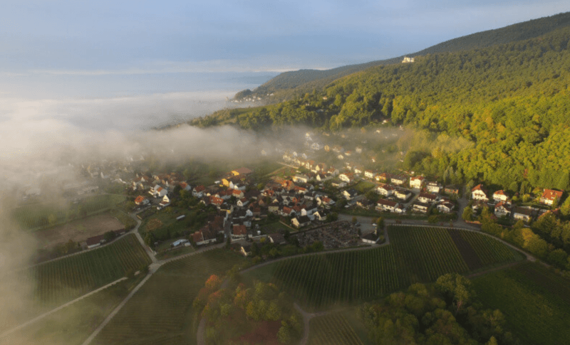 Domaine Meßmer Domaine Meßmer