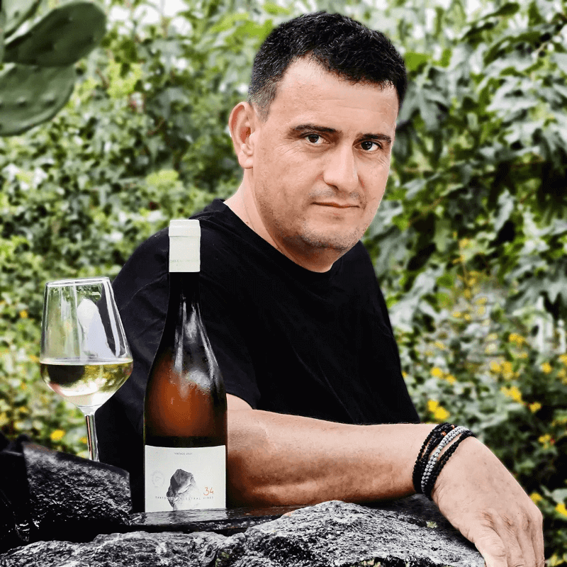 Vigneron Artemis Karamolegos