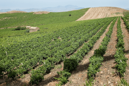 Les collines de Trapani Les collines de Trapani