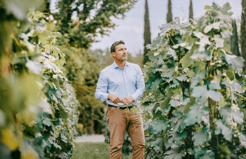 Patrick Honnef dans les vignobles