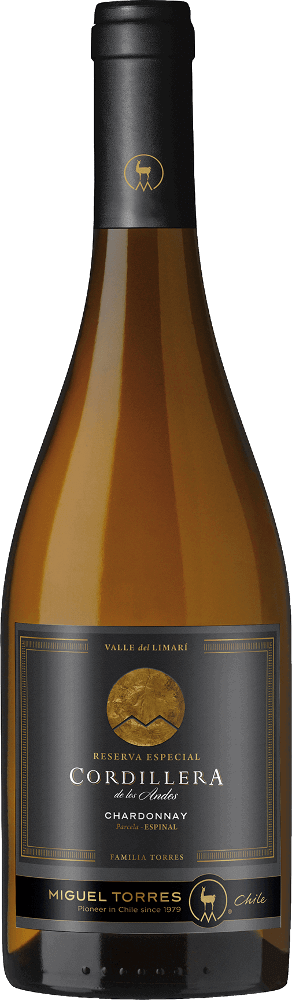 Vorschau: Coffret découverte de 6 grands vins Cordillera de Torres du Chili