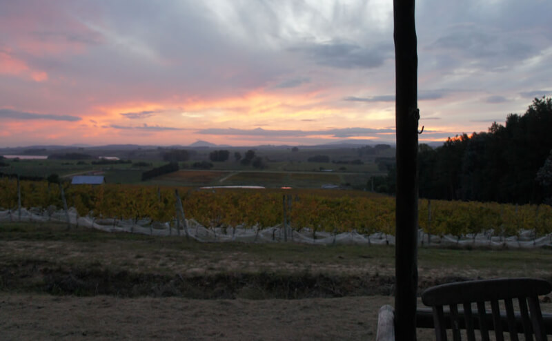Vignobles en automne Alto de la Ballena