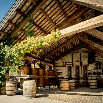 Nonino Distillatori