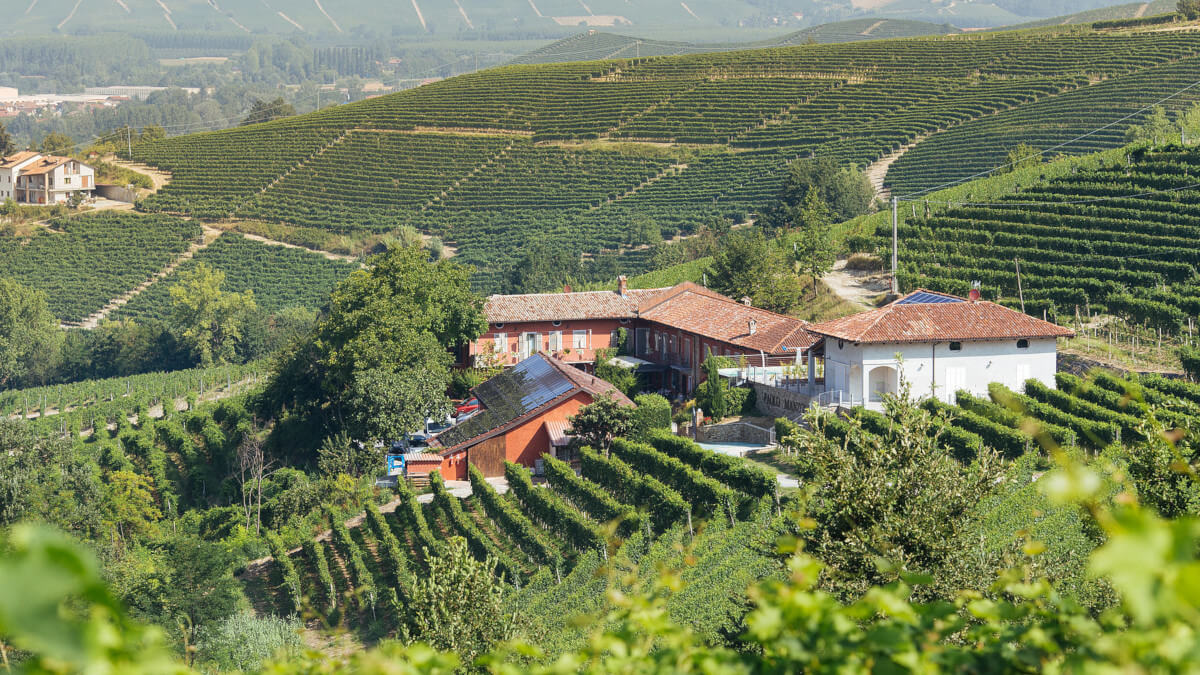 Domaine viticole Manzone - Panorama