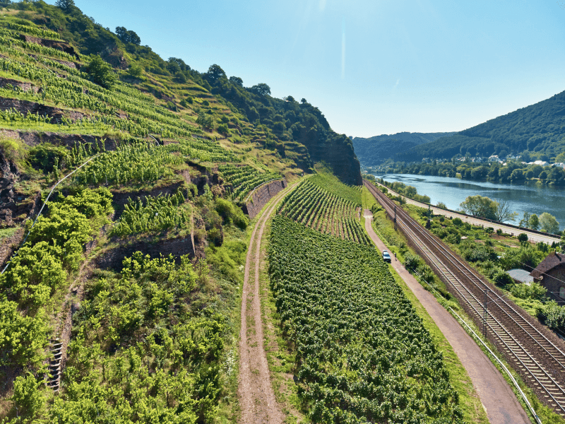 Vue du site de Stolzenberg - Photo T.Vollmer