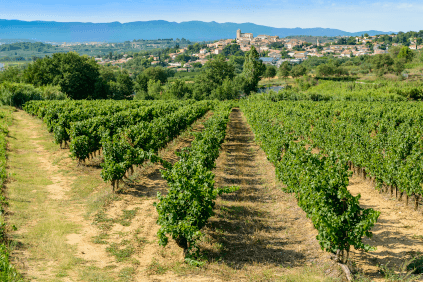 Le Languedoc