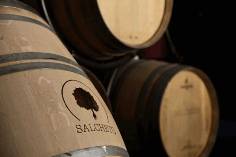 Le vignoble toscan Salcheto
