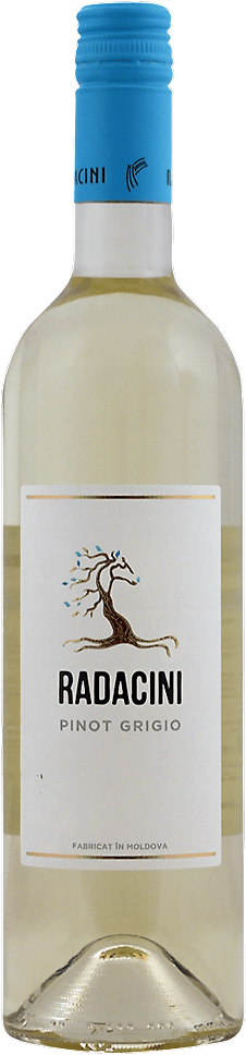 Vorschau: Trésors cachés – Best-seller de Moldavie, coffret découverte 6x