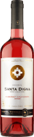 Santa Digna Rosé Cabernet Sauvignon - Miguel Torres Chile