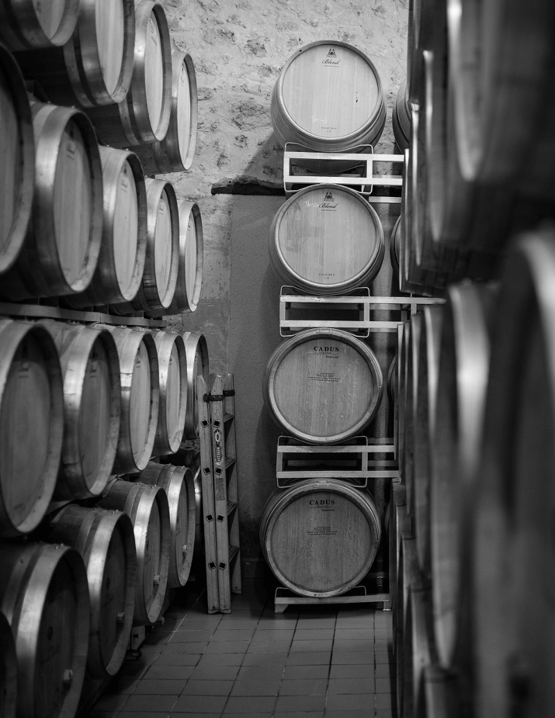 Cave du Château Carignan