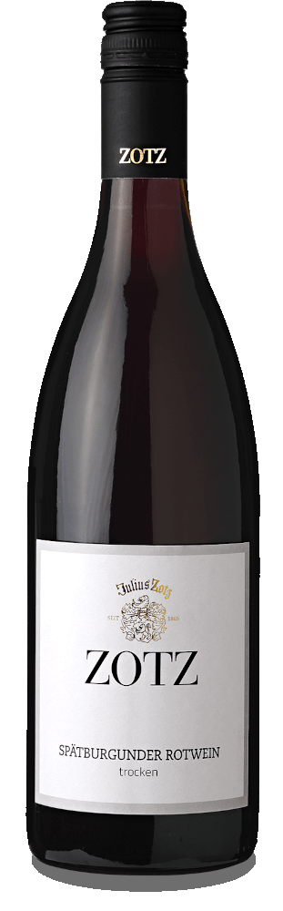 Vorschau: Diversité des vins de Bade - Pack de dégustation 6x du domaine Zotz