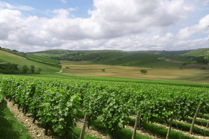Vallée de la Loire