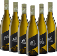 Vorschau: Vom Haus Grüner Veltliner - Domaine Pfaffl - lot avantage 6x