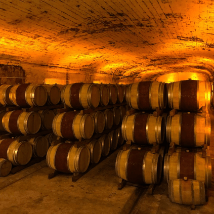 Cave du Château Mont-Redon
