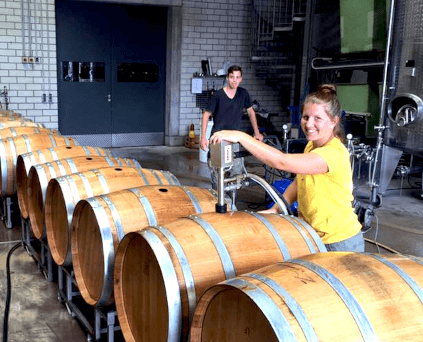 Travail dans la cave de Rebholz