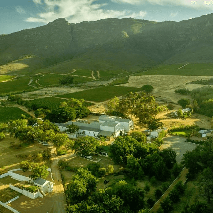 Le domaine viticole Allesverloren à Swartland