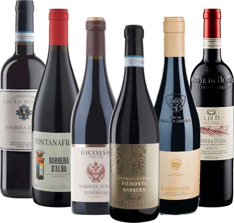 Avec Barbera à travers le Piémont - 6x paquet de dégustation