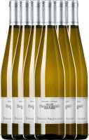 6er Vorteilspaket - Poggio Argentato Toscana Bianco IGT - Le Pupille