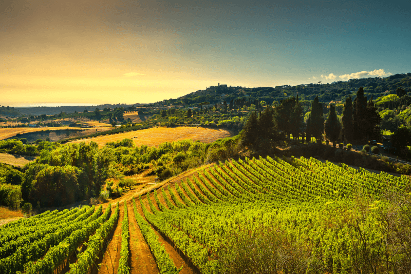CASTELLO-TOSCANO Campagne toscane CASTELLO-TOSCANO Campagne toscane