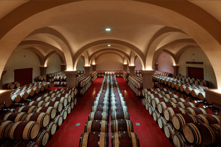 Cave de Tenuta Argentiera Cave de Tenuta Argentiera