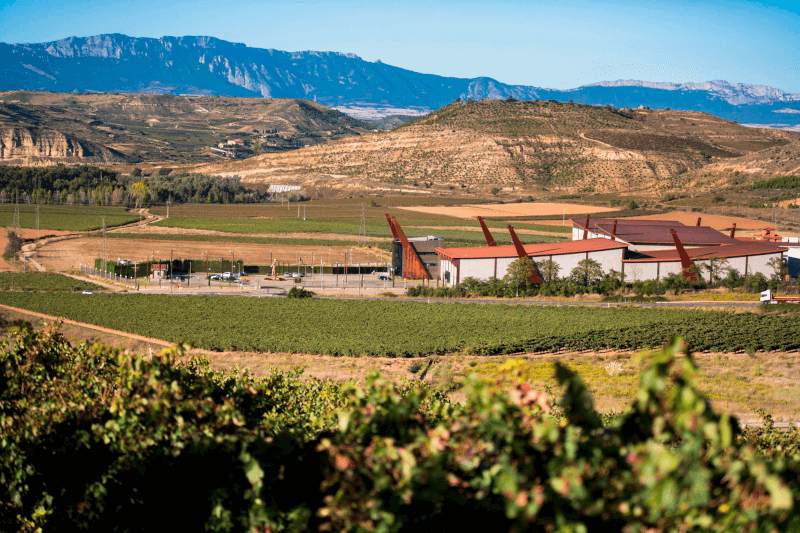 Vue sur les vignobles et les caves de la Rioja