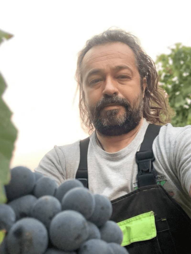 Marchesi di Montalto Vigneron