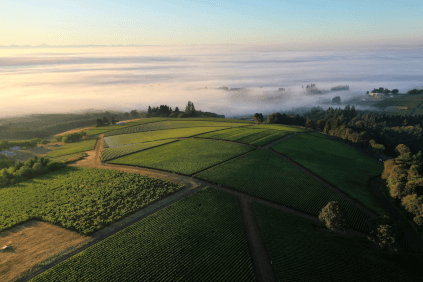 Vue aérienne du domaine
