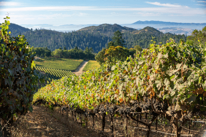 Vignoble de Hess Collection Vignoble de Hess Collection