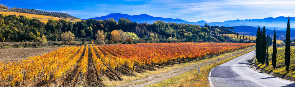 Toscane-Terra-Soprana