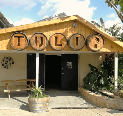 Domaine viticole Tulip