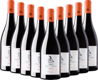 9x Vorteils-Weinpaket 1921 Primitivo di Manduria Riserva DOP - Varvaglione