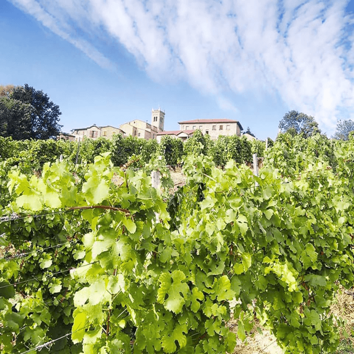 Un panorama du domaine
