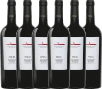 6er Vorteils-Weinpaket - Pipoli Aglianico del Vulture DOC 2020 - Vigneti del Vulture