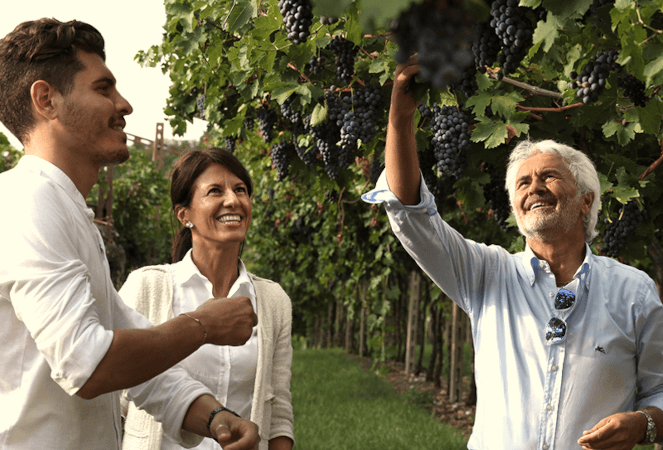 Famille Antiche Terre Venete