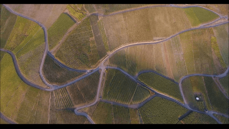 Peter Mertes vignoble vu d’en haut Peter Mertes vignoble vu d’en haut