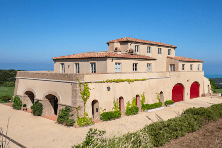 Domaine viticole Tenuta Argentiera Domaine viticole Tenuta Argentiera