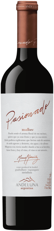 Malbec Pasionado Tupungato Mendoza - Andeluna