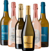 Picotements dans le ventre avec Viticoltori Ponte - 6x pack de dégustation