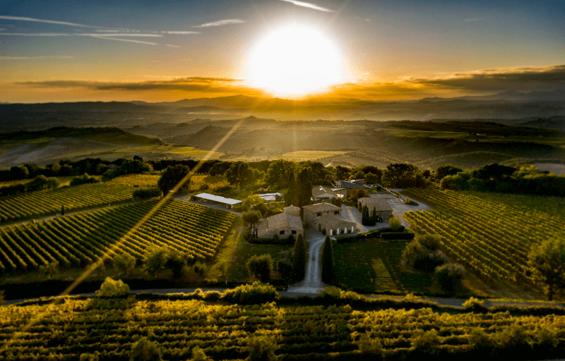 Vue du domaine viticole Talenti