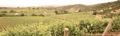 Vignobles de Terra Noble Vignobles de Terra Noble