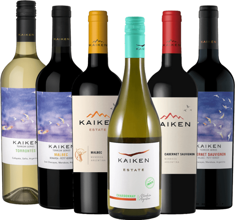 Chefs-d’œuvre de Mendoza - coffret de 6 vins du vigneron Bodega Kaiken