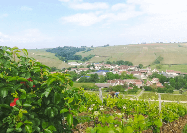 Région de Sancerre Roblin Région de Sancerre Roblin